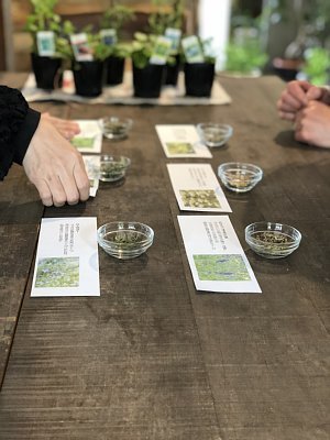 ハーブ1回目-7.jpg