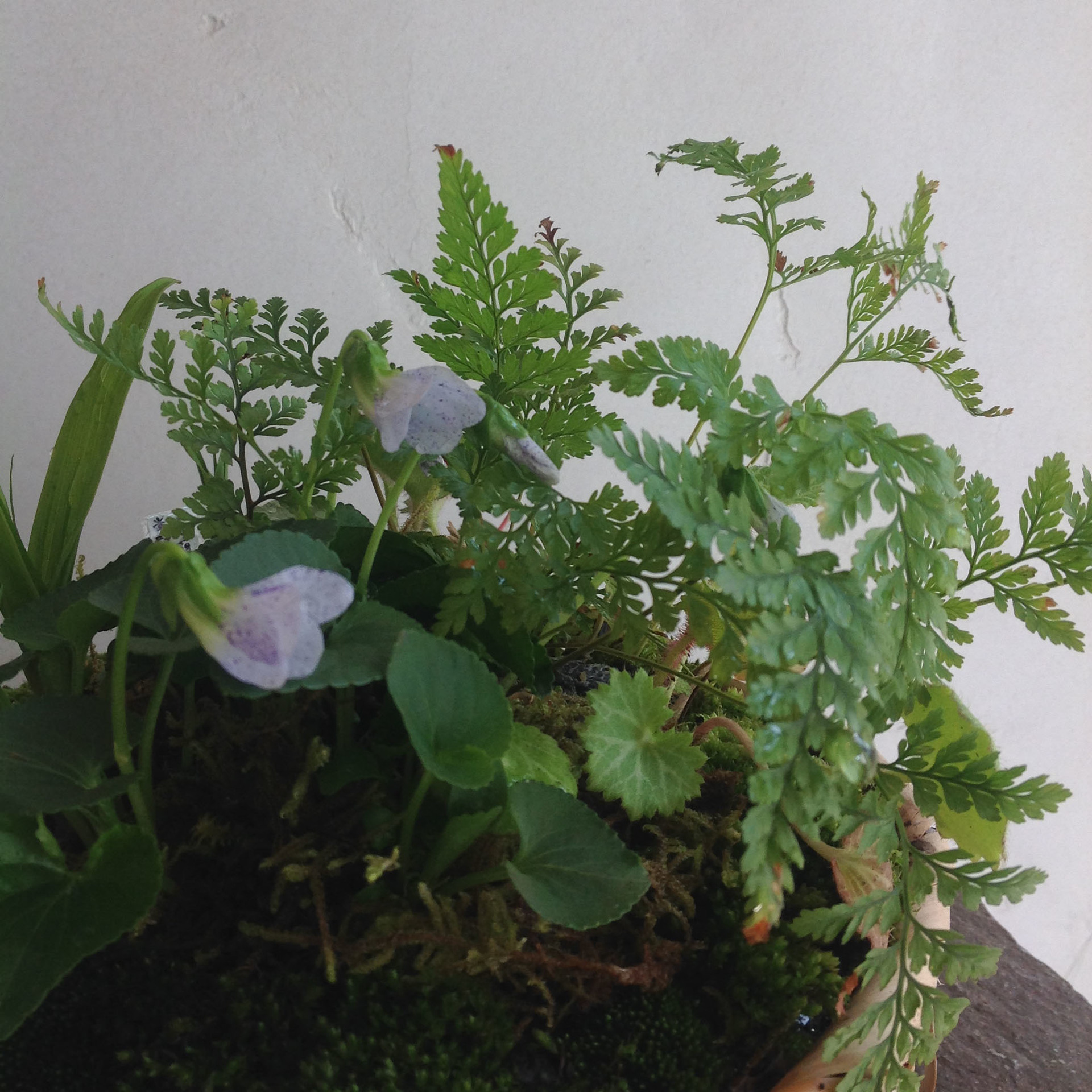 2019-04-06 10.41.03.jpg