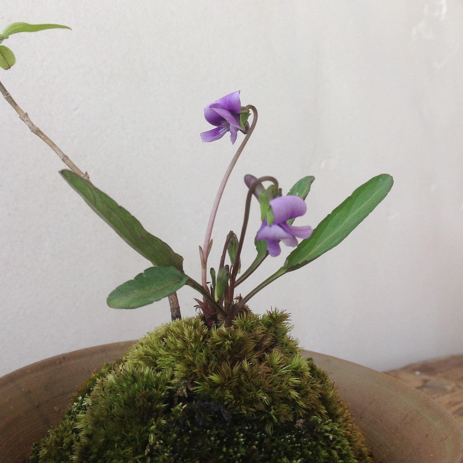 2019-04-06 10.42.23.jpg