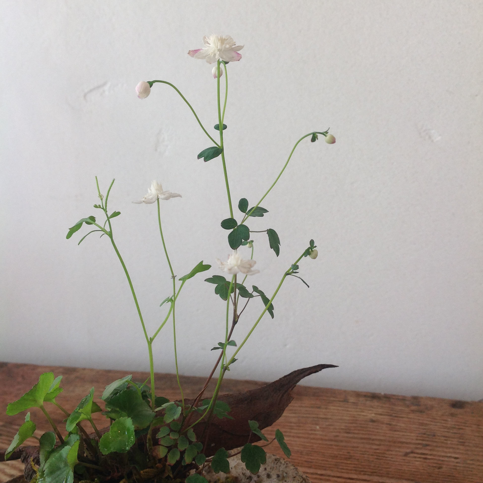 2019-04-06 10.43.49.jpg