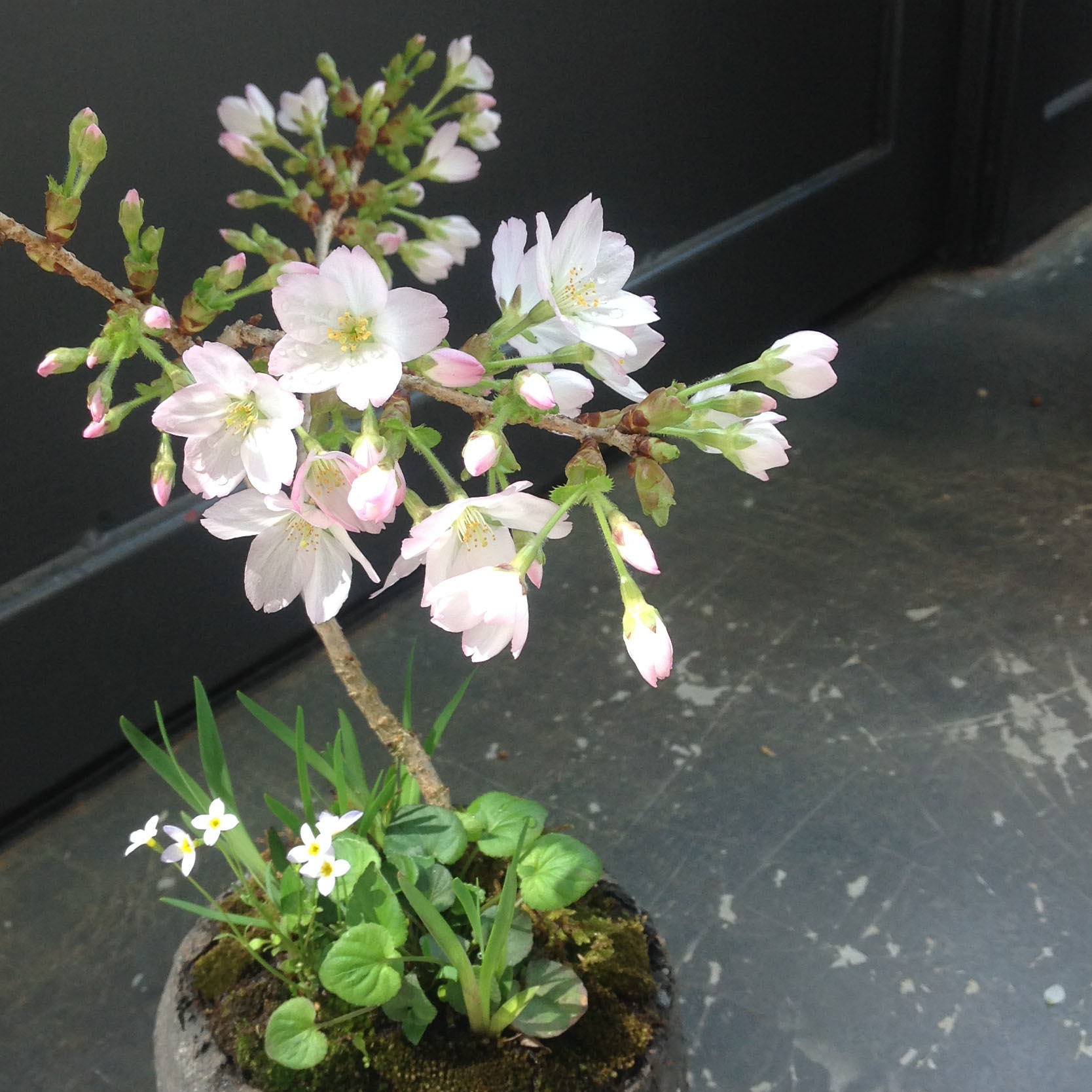 2019-04-06 10.46.21.jpg
