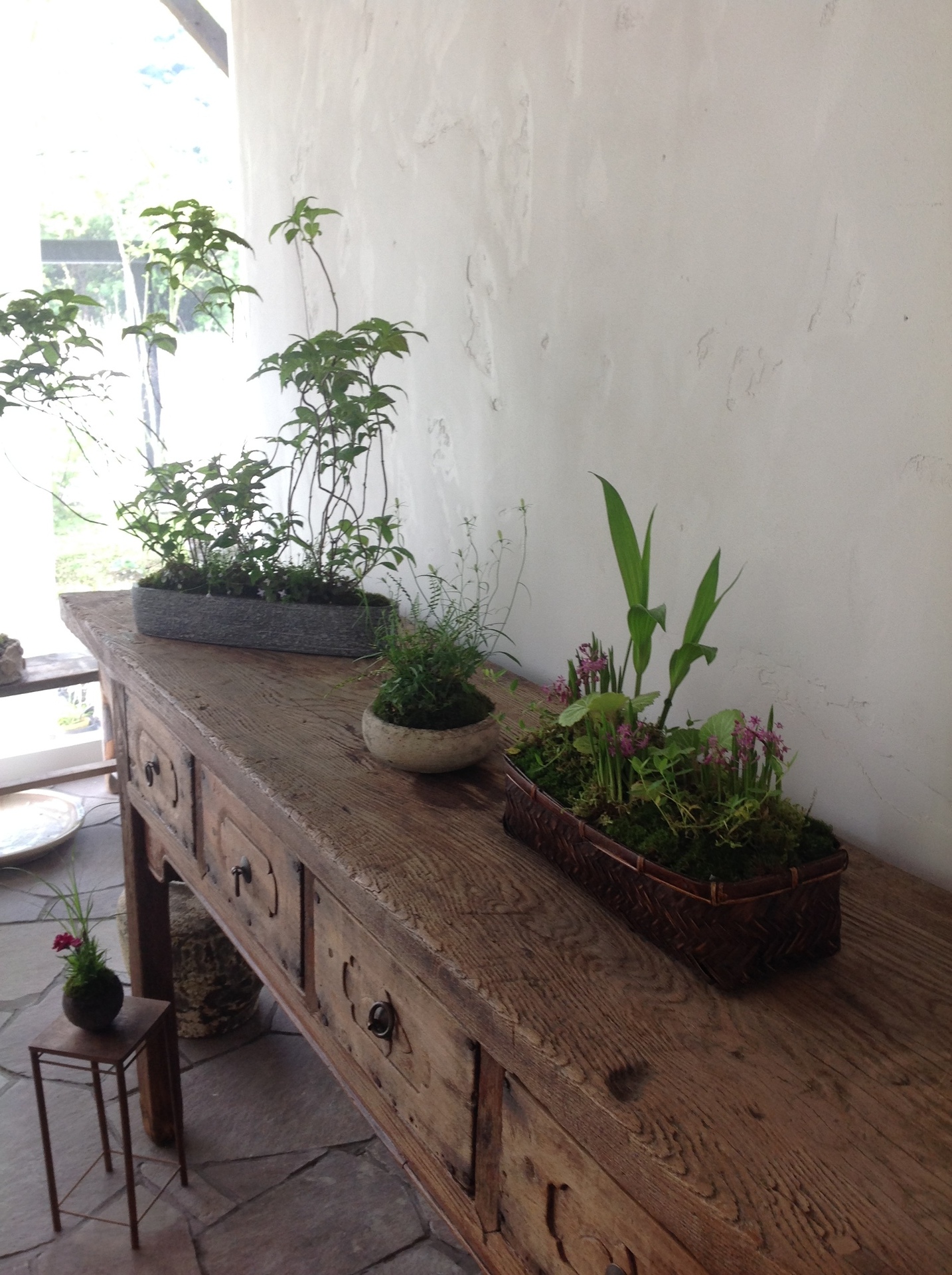 2019-05-10 09.44.21.jpg
