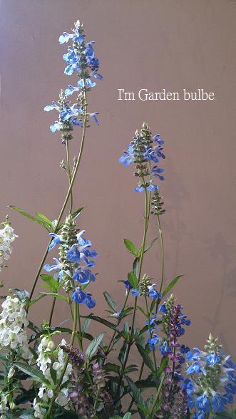 ボックセージ寄せ植え2.jpg