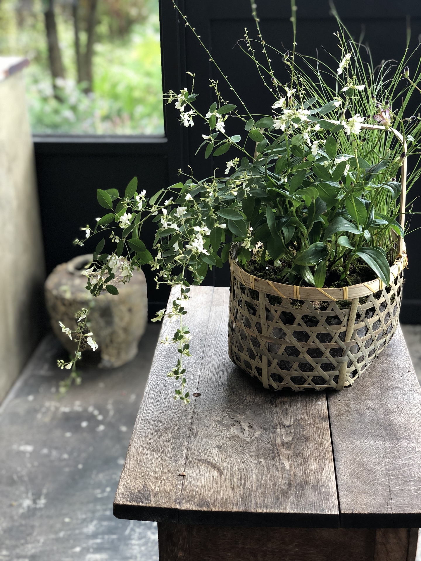 寄せ植え4.jpg