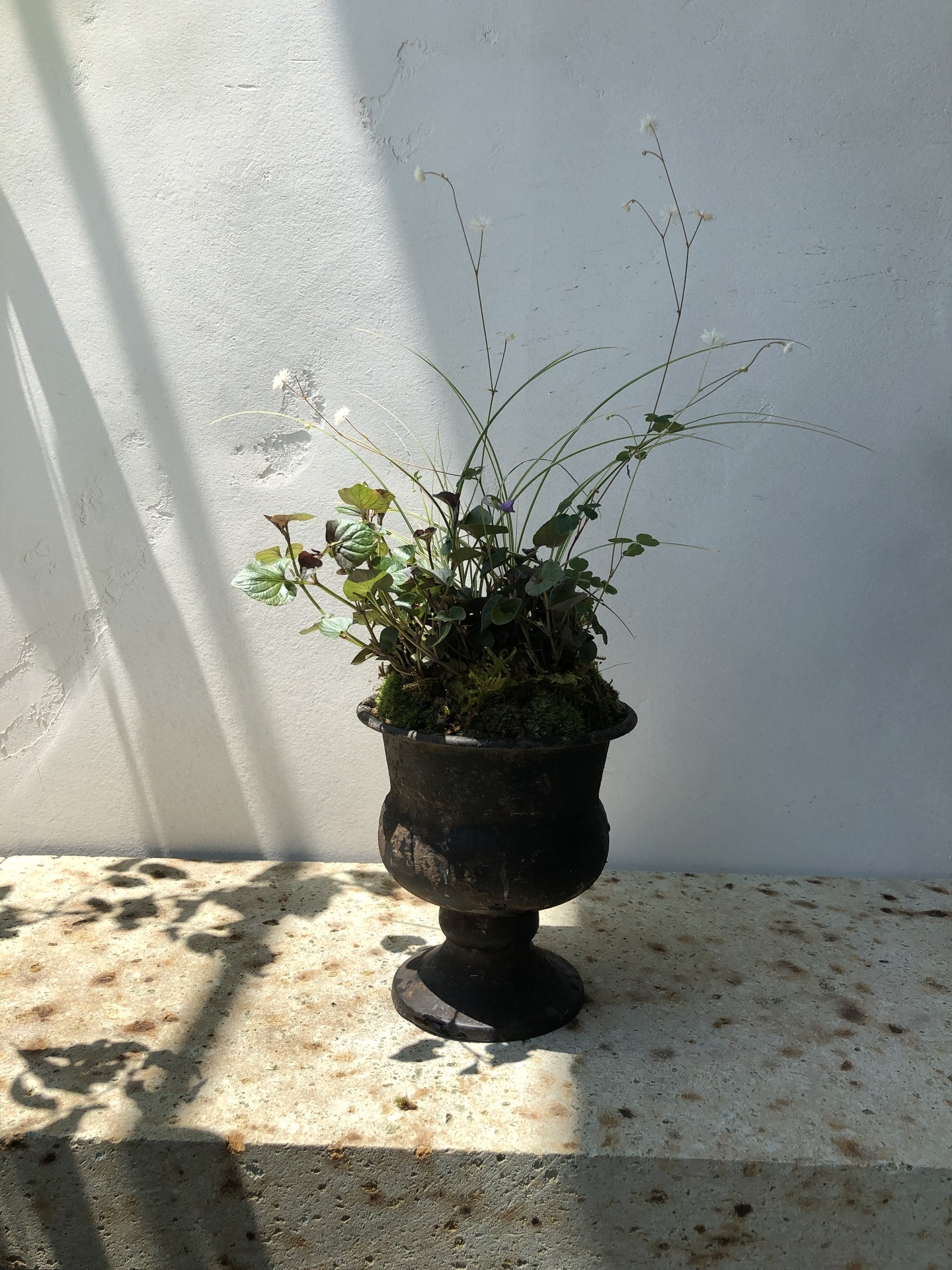 寄せ植え7.jpg