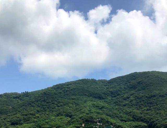 山.jpeg