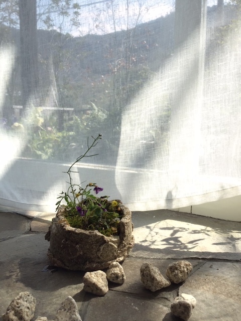 image1.jpeg