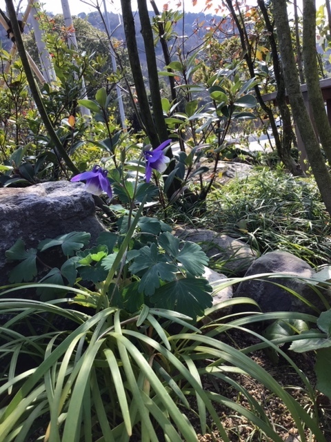 image7.jpeg